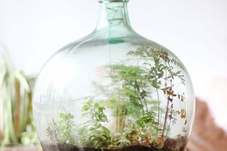  What is a Closed Terrarium?