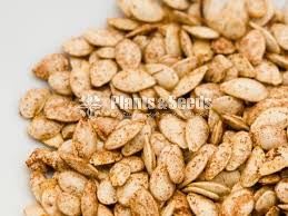 Vegetable Seeds