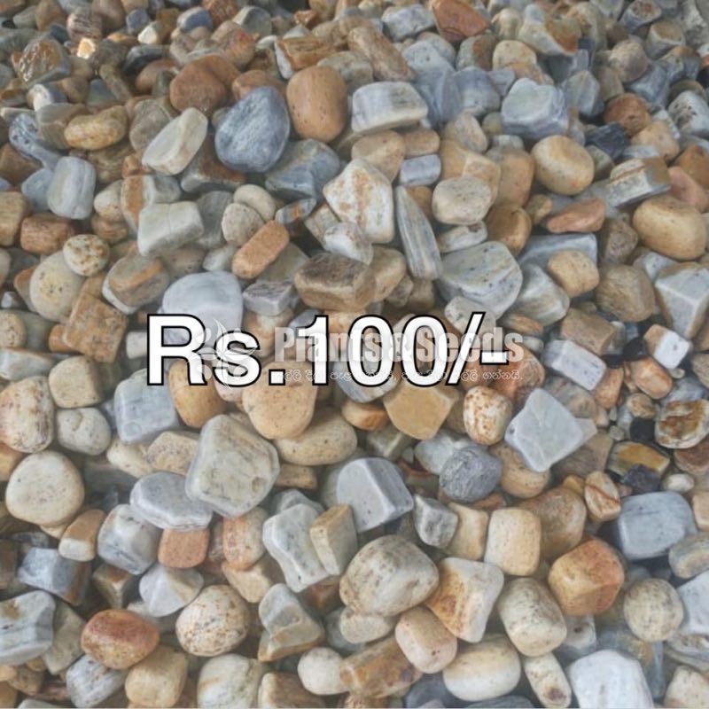 (Fancy Stones)-100