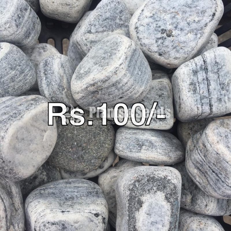 (Fancy Stones)-100