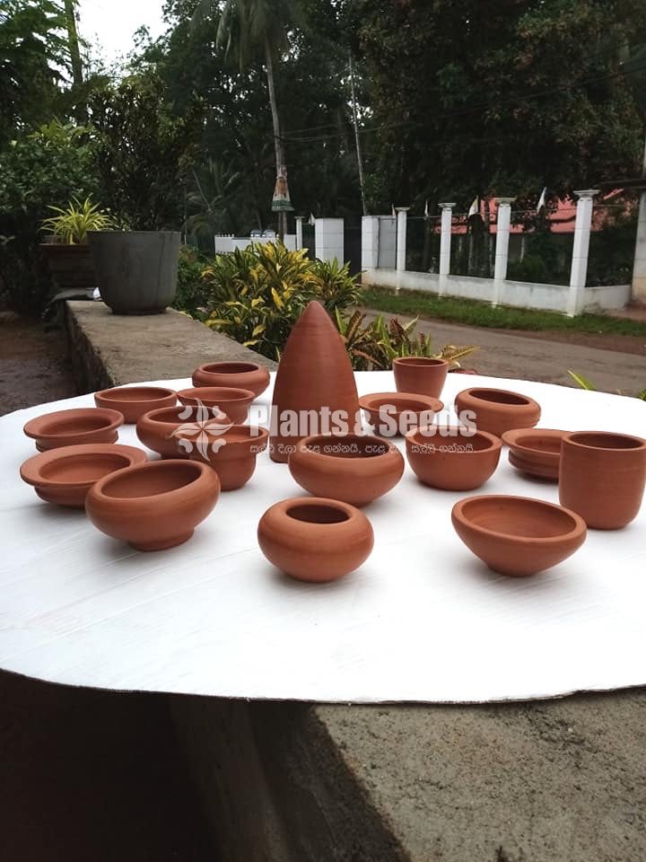 Clay Pots