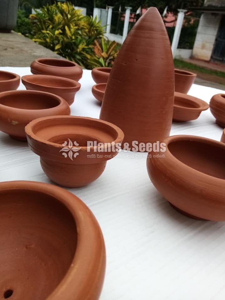 Clay Pots