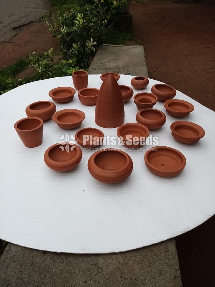 Clay Pots