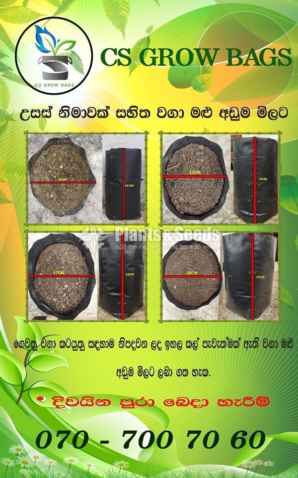 Grow Bags (වගා මලු )