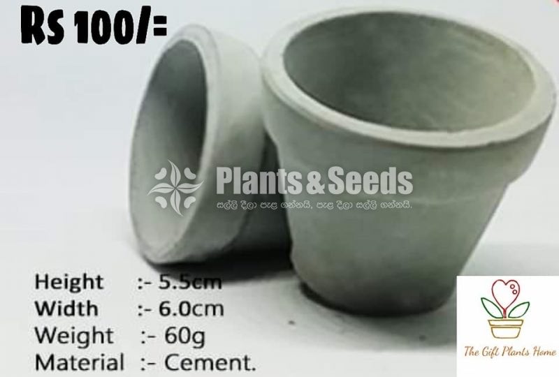 Cement Pots 