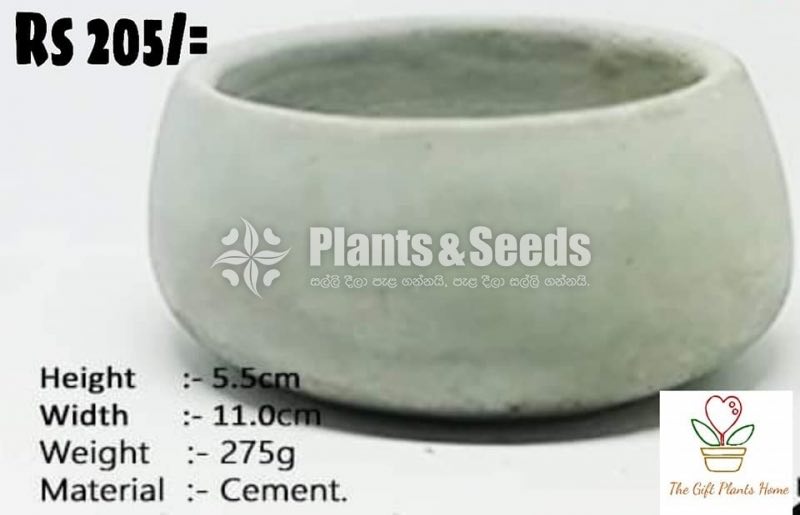 Cement Pots 