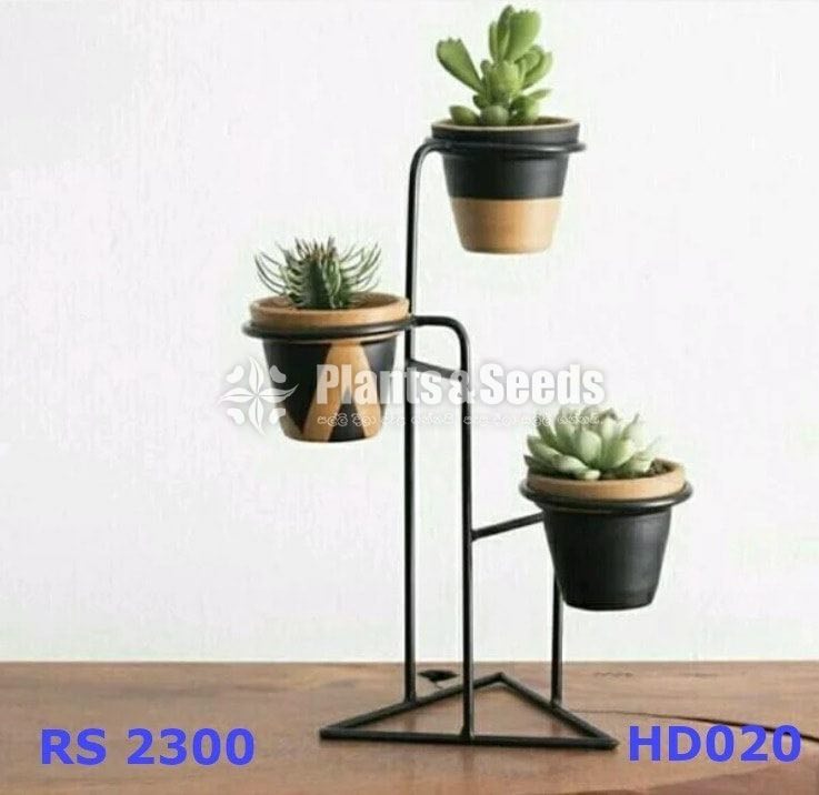 Decorative Pots and Stands