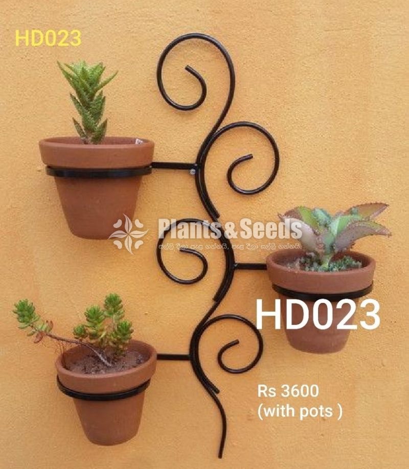 Decorative Pots and Stands