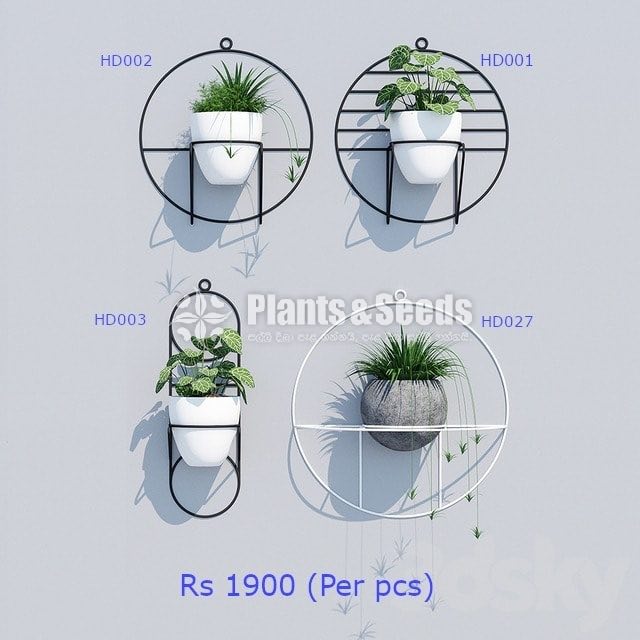 Decorative Pots and Stands