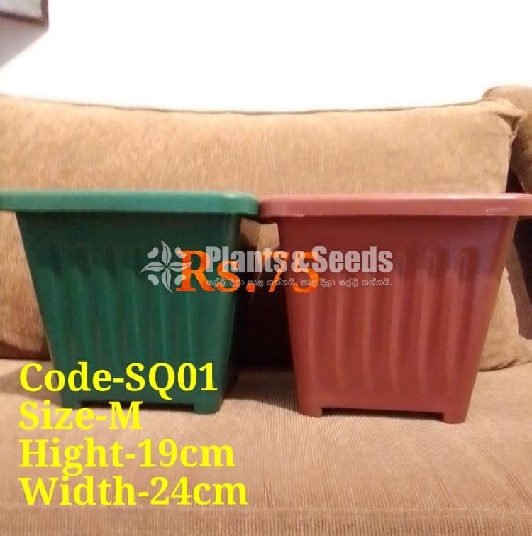 Panadura Plastic Pots