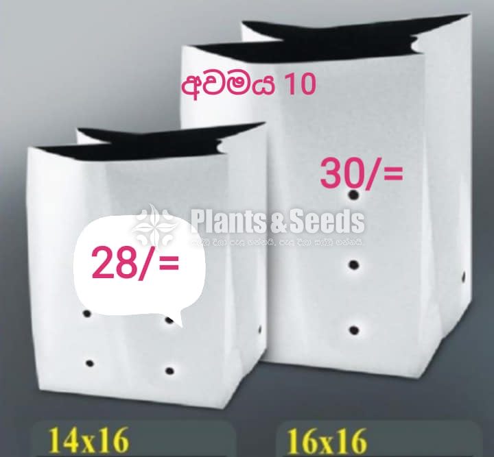 Grow Bags (වගා මලු )