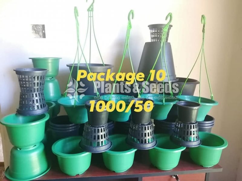 Plastic Pots