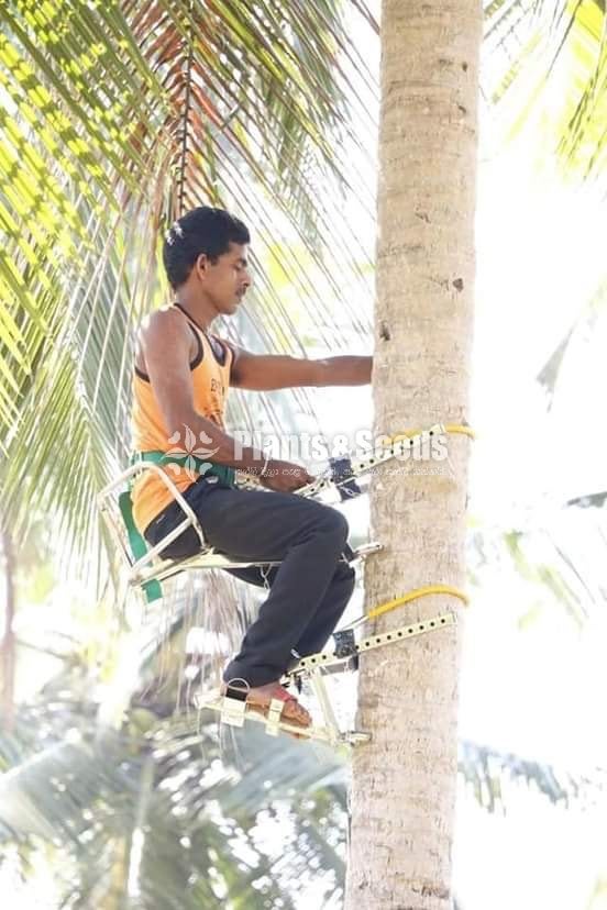 Coconut Plucking Machine (පොල් කඩන මැෂිම )