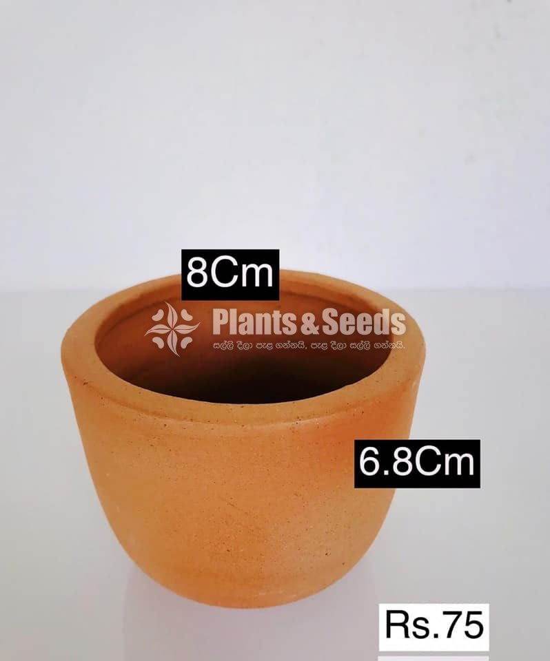 Clay Pots Collection