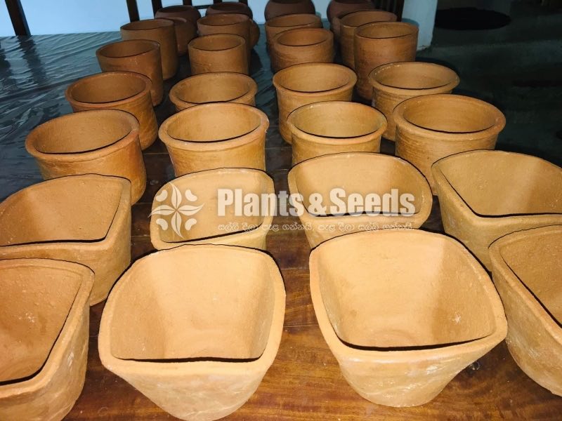 Handmade Clay Pots