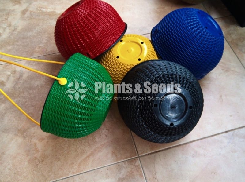 Plastic Pots for Hanging Plants