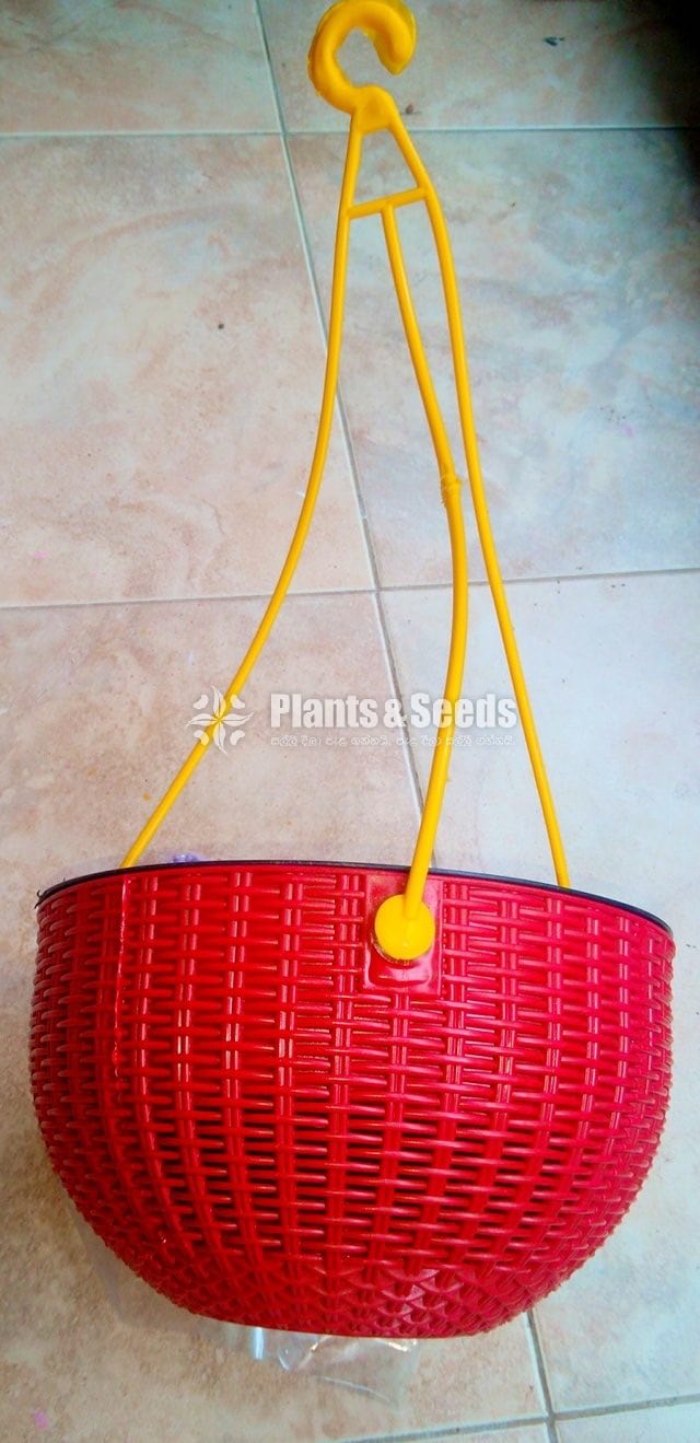 Plastic Pots for Hanging Plants