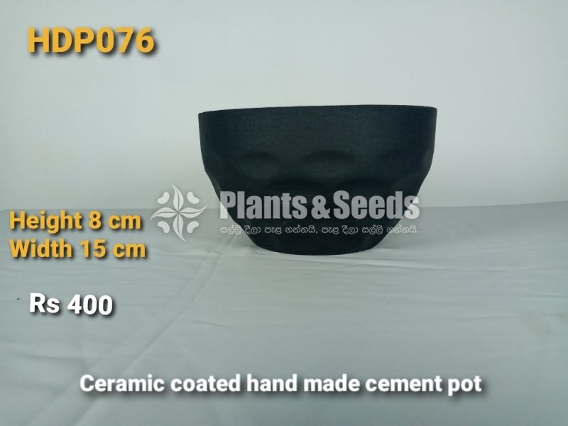 Ceramic Coated (Clay Pot)