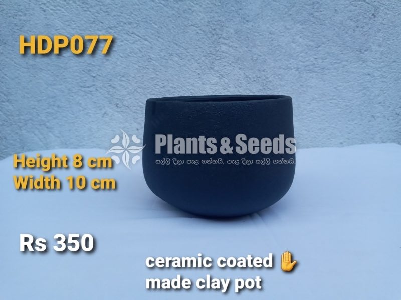 Ceramic Coated (Clay Pot)