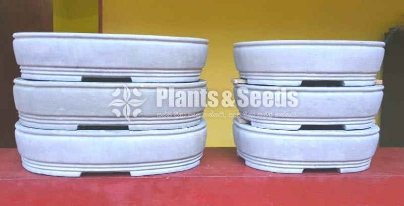 Bonsai Pots