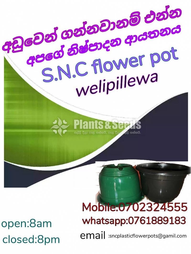 Plasic Flower Pots