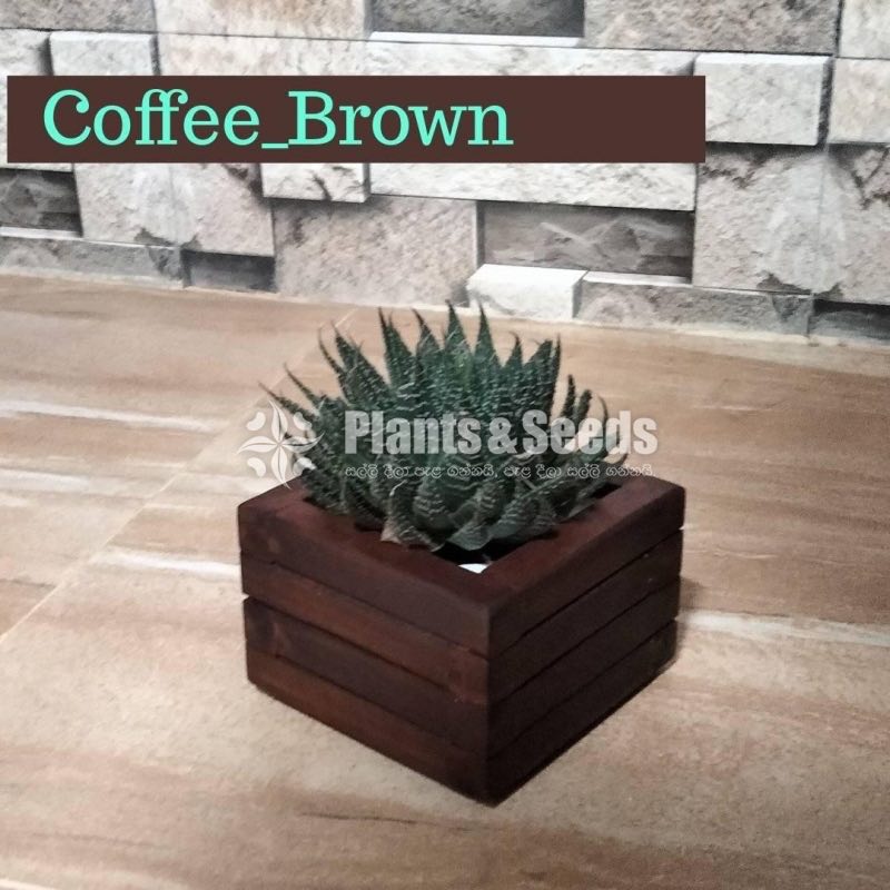 Wooden Plant Box