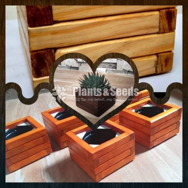 Wooden Plant Box