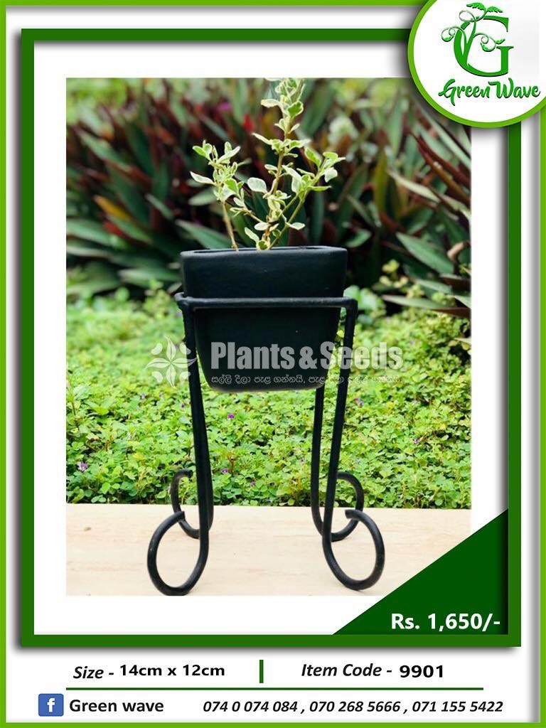 Plant Rack with Plants