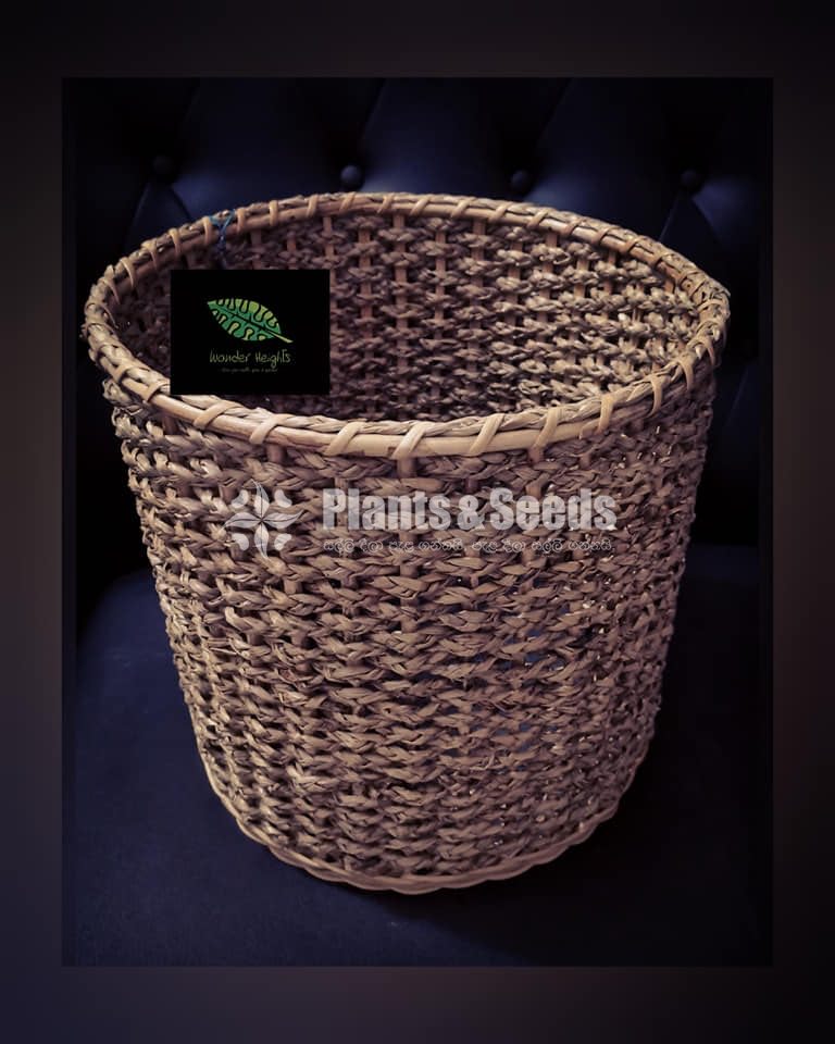 Rattan Basket Pot