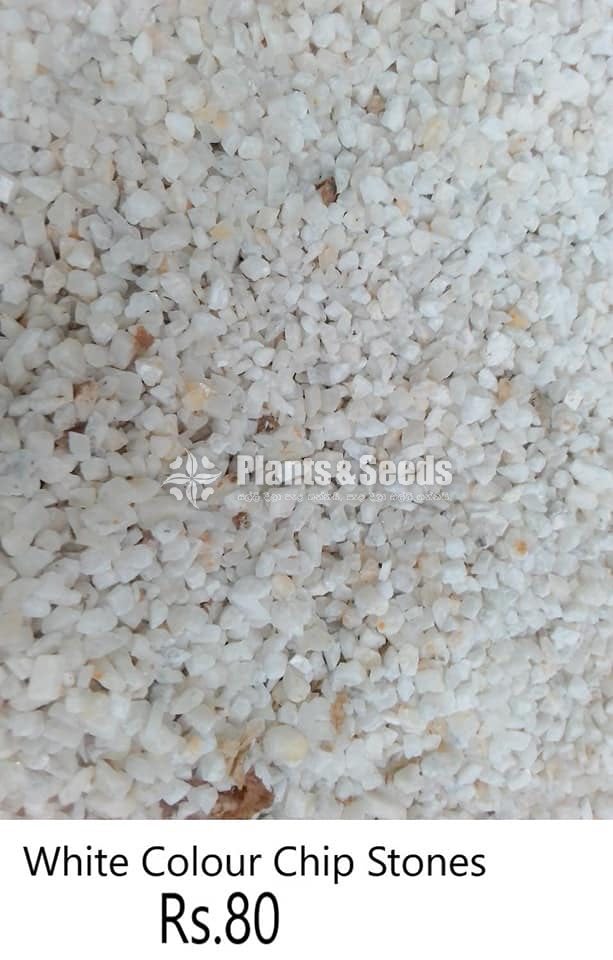 White color chip stones