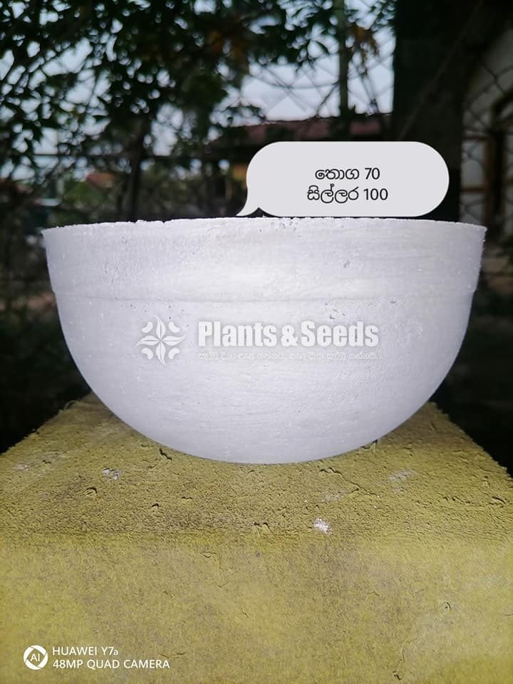 Titanium Pots