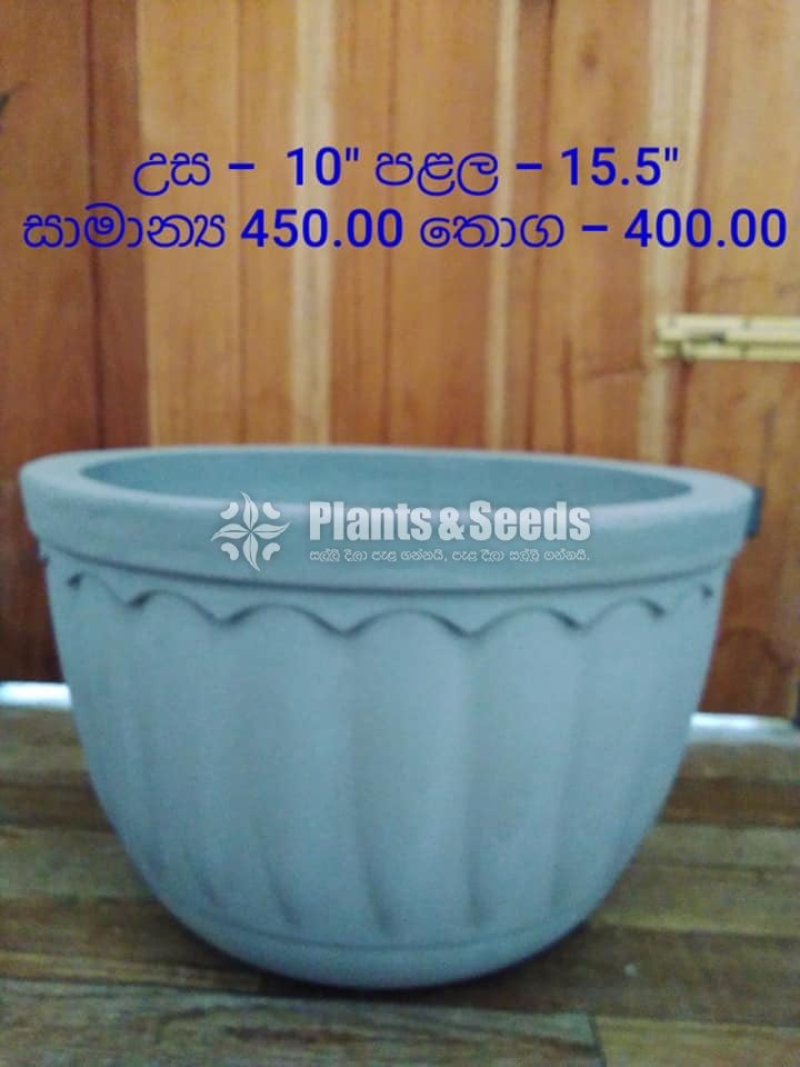 Cement Pots