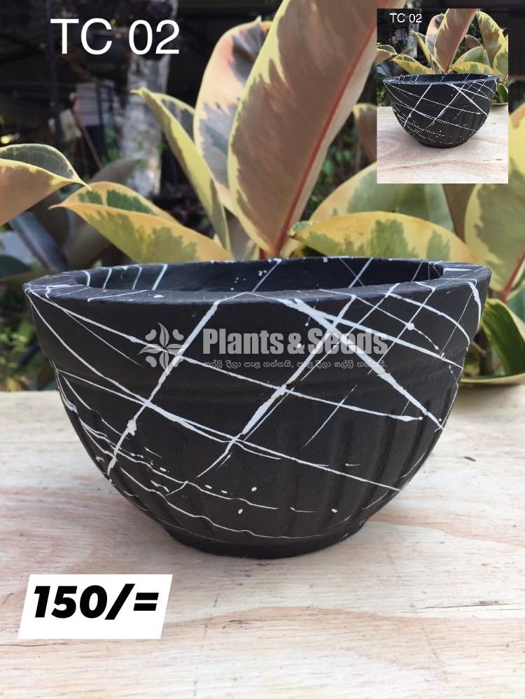 Titanium Pots