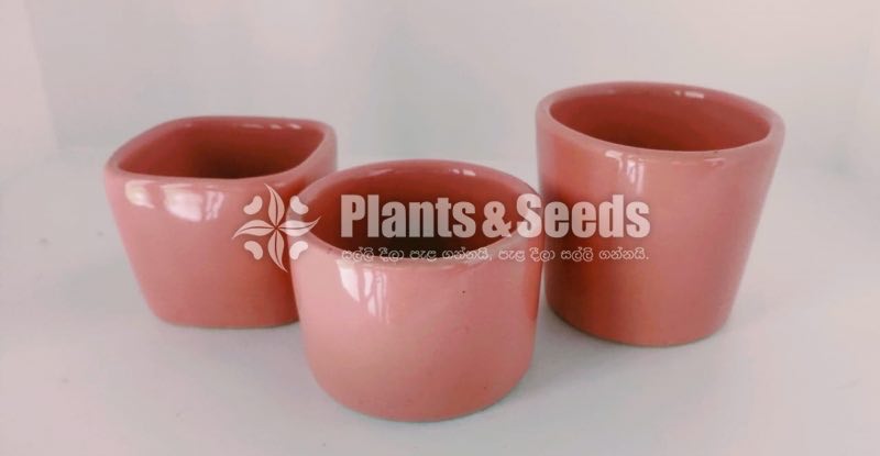 Ceremic Pots Collection