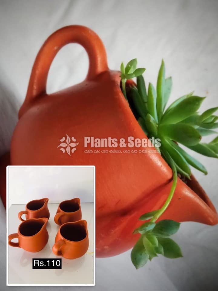 Decorative Clay Pot Collection