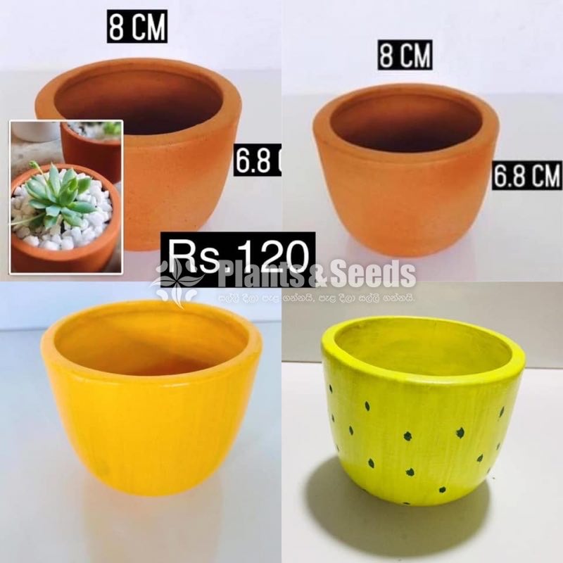 Decorative Clay Pot Collection