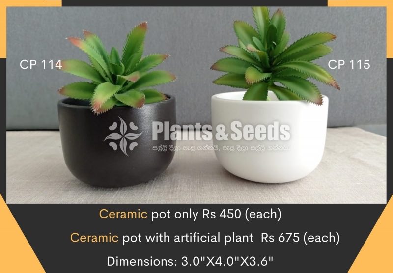 Ceremic Pots Collection