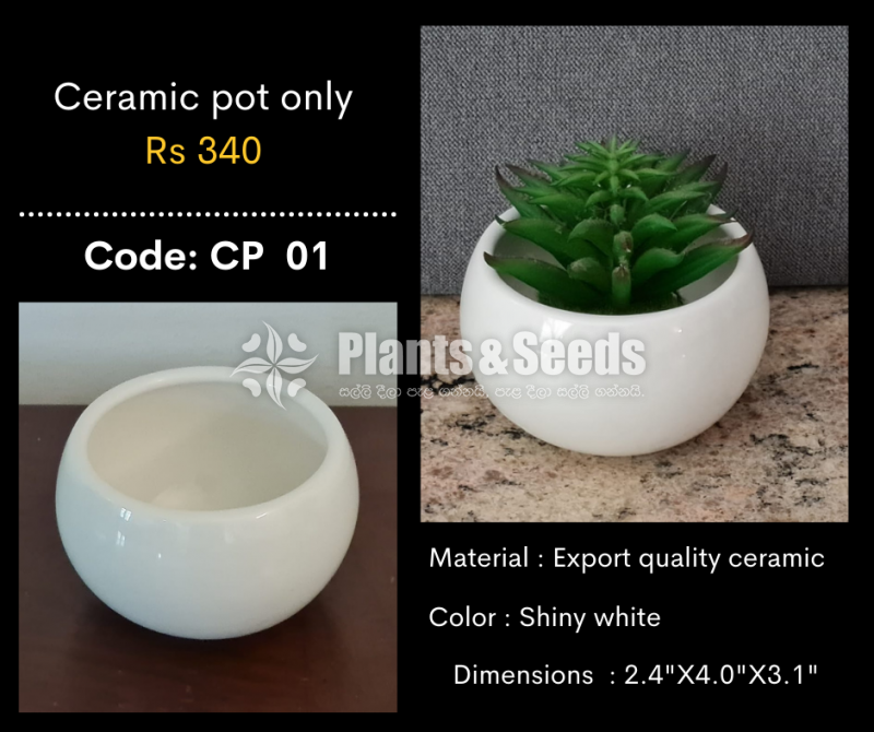 Ceremic Pots Collection