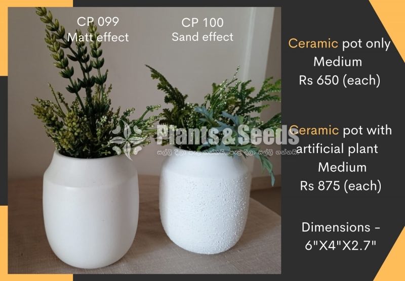 Ceremic Pots Collection