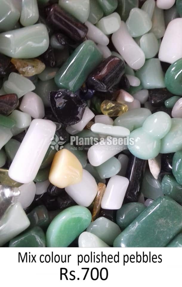 Natural Stones and Decorative Pebbles