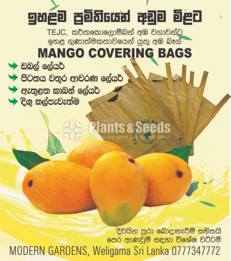 Fruit Covers for TEJC Mango