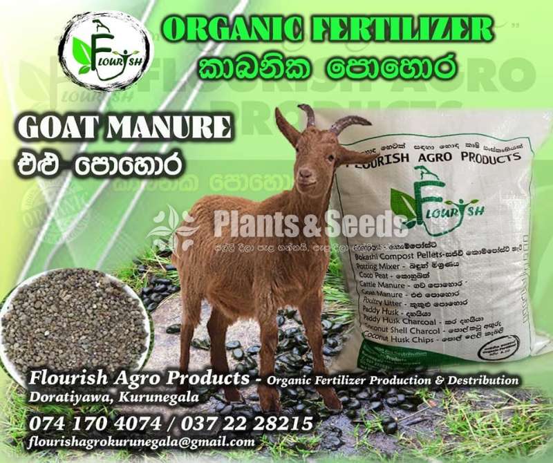 Elu Pohora(Goat Manure)