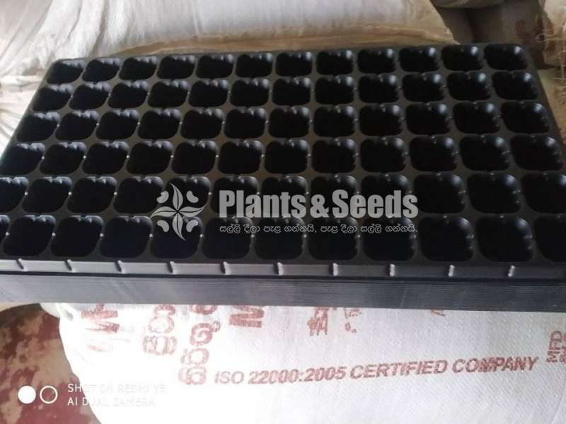 Seedling tray