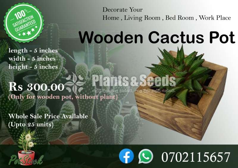 Wooden Pot-Cactus