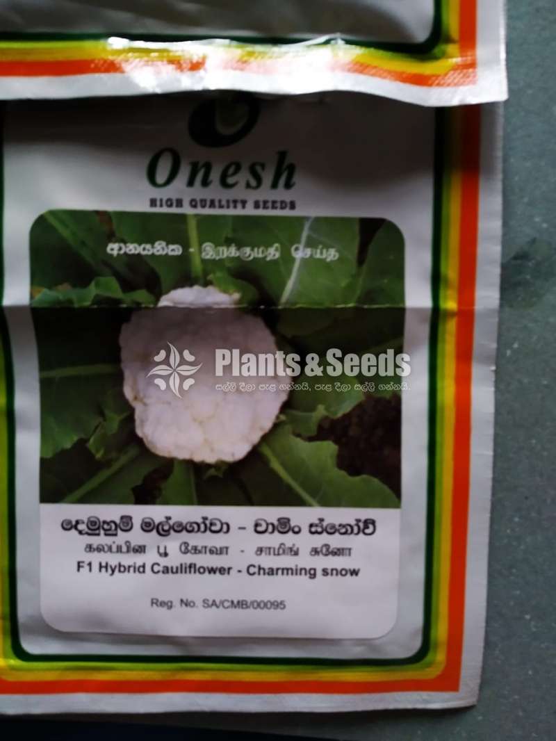 Vegetable Seeds