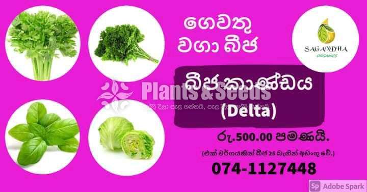 Vegetable Seeds Pack