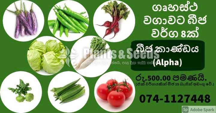 Vegetable Seeds Pack