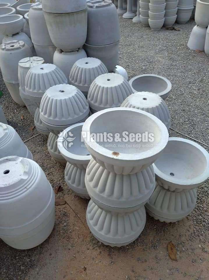 Cement Pots