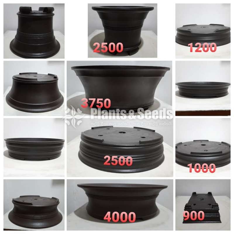 Bonsai Pots