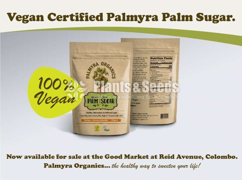 Palm Suger